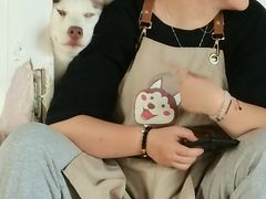 -Husky Go! 哈士奇体验馆·宠物咖啡厅狗咖