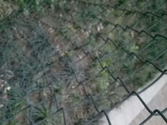 -大妙火锅·非物质文化遗产(东湖公园店)