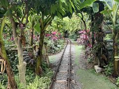 -呀路古热带植物园