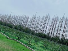 -前小桔亲子创意农场·草莓采摘·露营烧烤