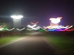 -老板恋上鱼(环山路店)