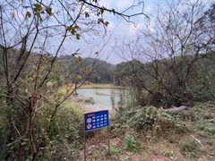 -青龙山国家森林公园