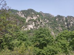 -大岭沟猕猴桃谷风景区