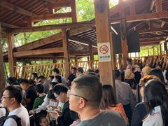 -天目湖山水园