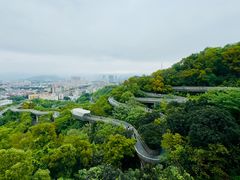 -福道