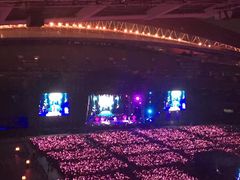 -南京奥林匹克体育中心-体育馆