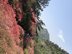 -木兰云雾山