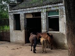 -祥源·阜阳生态乐园