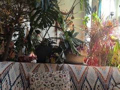 -懒人盐府人家·自贡大麻鱼(安贞店)
