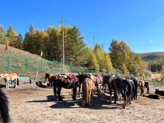 -塞罕坝国家级自然保护区
