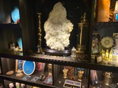 -雪灵魔法世界SHELLY’S TAROT(大良桂畔里店)