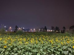 -中国天府农业博览园