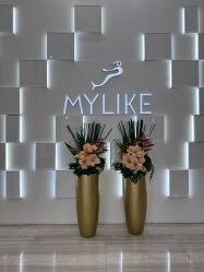 -深圳美莱医疗美容医院