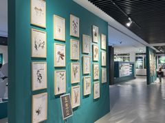 -迪庆藏族自治州博物馆