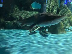 -常州海昌海洋探索馆