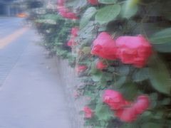 -西安交大南洋大酒店(交通大学青龙寺店)