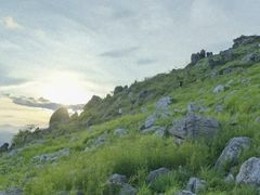 -长虫山生态公园风景林