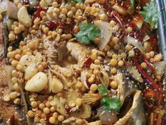 -古彭7只羊·招牌白串·碳锅羊肉旗舰店