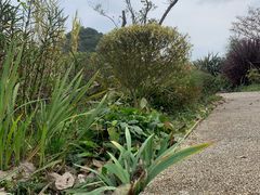 -云漫湖生态度假公园