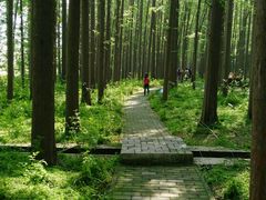 -南京金牛湖风景区