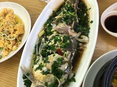 清蒸白鱼-宾湖农庄·农场特色(太湖龙之梦店)
