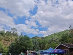 -青藏高原野生动物园