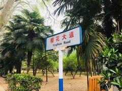 -武汉大学-樱园