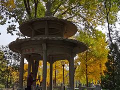 -玲珑塔公园