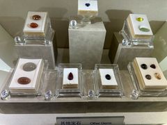 -安徽省地质博物馆