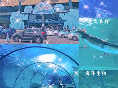 -泉城欧乐堡水上世界