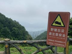 -梧桐山风景名胜区