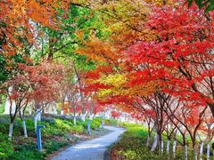 -白马涧龙池景区