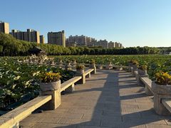 -唐山河头老街国丰维景国际大酒店