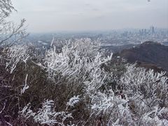 -紫金山山顶公园