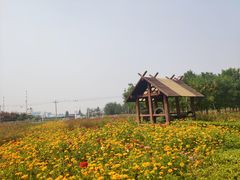 -河北省园博园