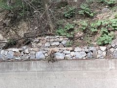 -北京上方山国家森林公园