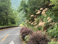 -东天目山风景区