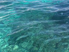 -蓝湾海滩