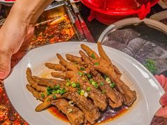 -红鼎坊·老成都火锅(新南门店)