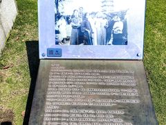 -观潮胜地公园