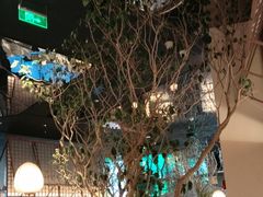 -桂满陇·海市蜃楼·黑金(国金店)