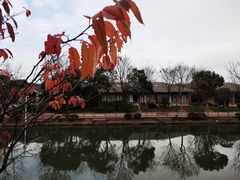 -上海海湾国家森林公园