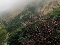 -少华山国家森林公园
