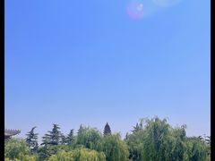 -洛阳白马寺