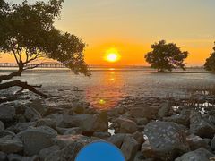 -宝安西湾红树林湿地公园