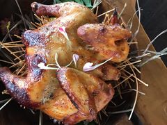 -Hi City·城市之巅