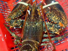 -醉湘厨艺(才华街店)