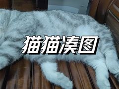 -锦园春香港茶餐厅(西海湾旗舰店)