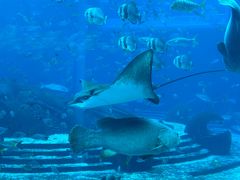 -亚龙湾海底世界