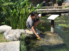 -品腐记·豆腐王朝(老门东总店)